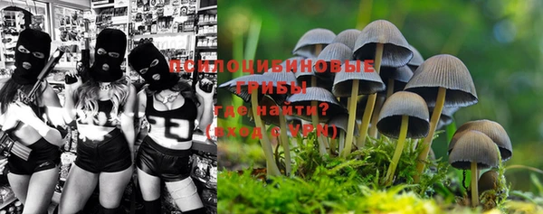 наркотики Каменногорск